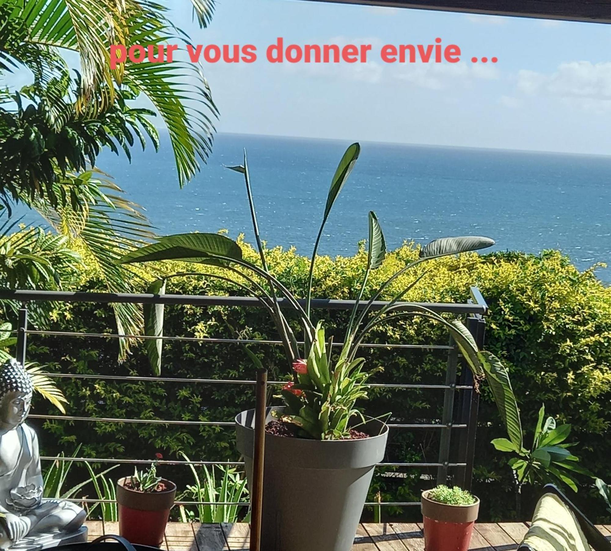 Suite Indigo Jacuzzi Prive Piscine Vue Mer Acces Cuisine Laverie Saint Pierre Eksteriør bilde
