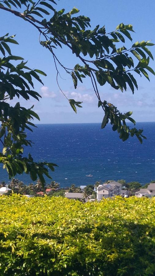 Suite Indigo Jacuzzi Prive Piscine Vue Mer Acces Cuisine Laverie Saint Pierre Eksteriør bilde